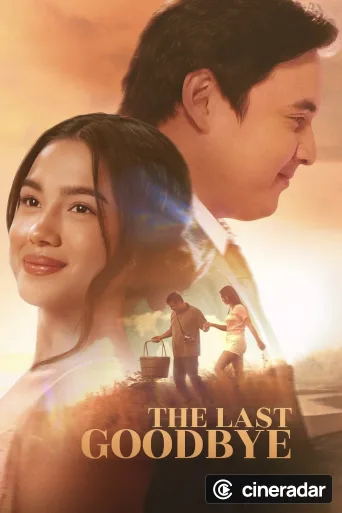 The Last Goodbye