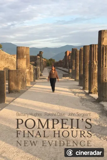 Pompeii's Final Hours: New Evidence