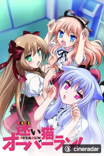 Mayoi Neko Overrun!