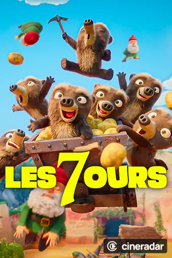 7 Bears