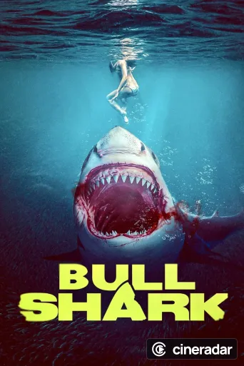 Bull Shark