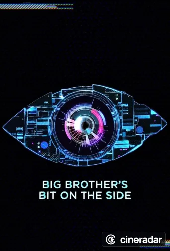 Big Brother's Bit on the Side