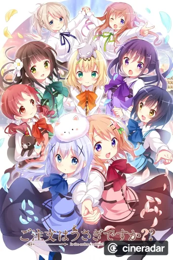 Is the Order a Rabbit?