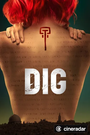 Dig