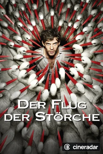 Der Flug der Störche