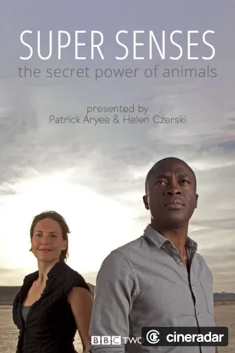 Les super sens des animaux