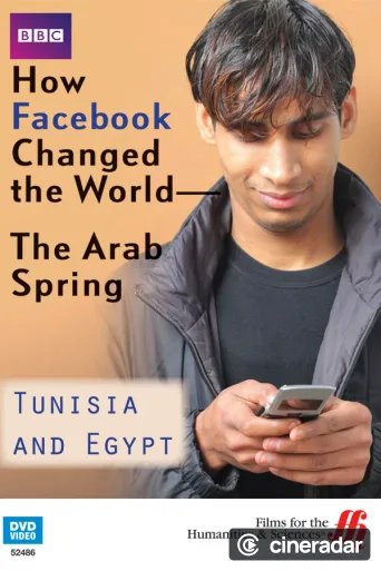 How Facebook Changed the World: The Arab Spring