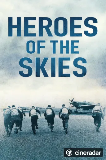 Heroes of the Skies