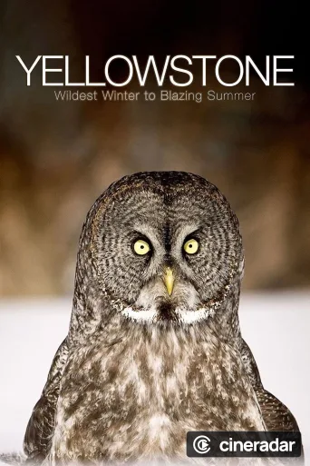 Yellowstone: El gran deshielo