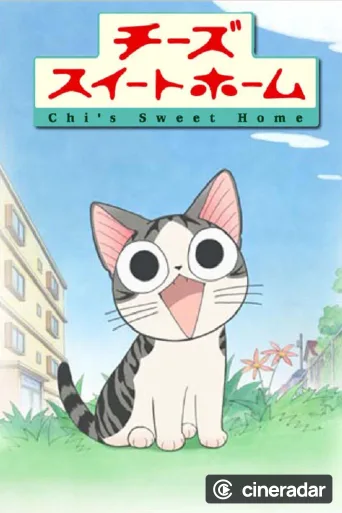 Kleine Katze Chi