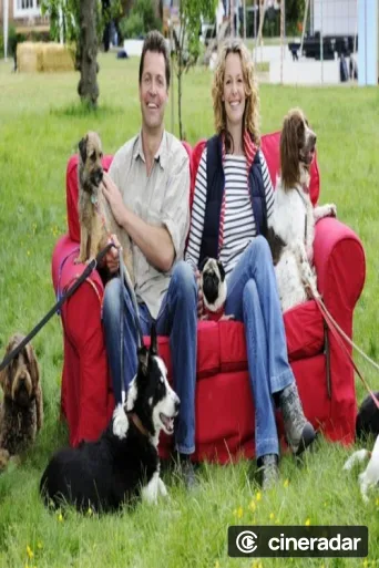 The Wonder of Dogs