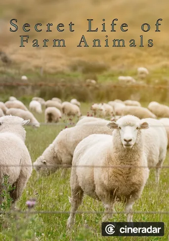 La Vie cachée des animaux de la ferme