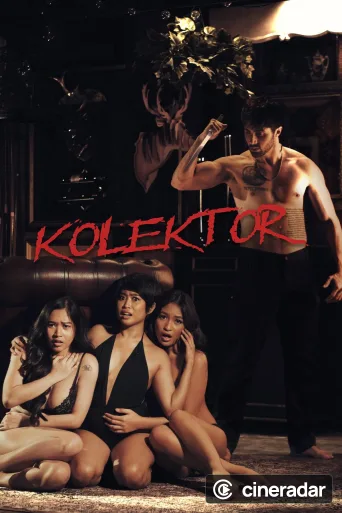 Kolektor