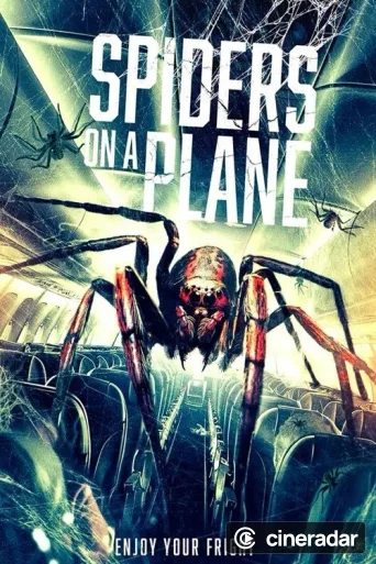 Spiders on a Plane