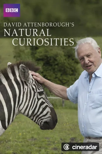 David Attenborough's Natural Curiosities