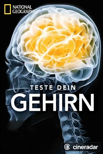 Test Your Brain