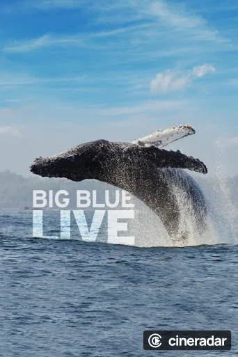 Big Blue Live