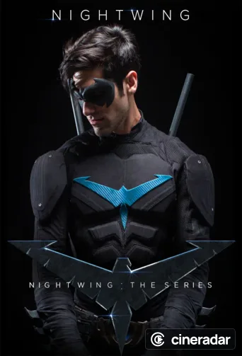Nightwing: The Series