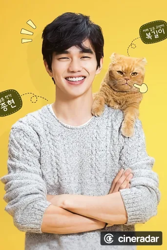 Imaginary Cat