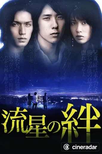 流星の絆