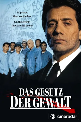 Das Gesetz der Gewalt