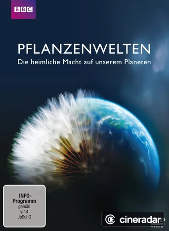 How to Grow a Planet