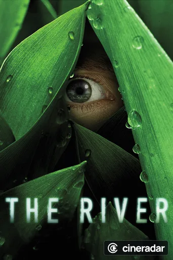 The River