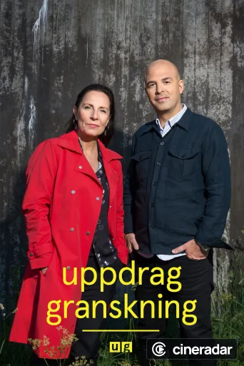 Uppdrag granskning