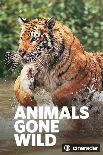 Animals Gone Wild