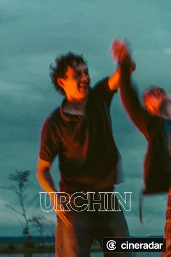 Urchin