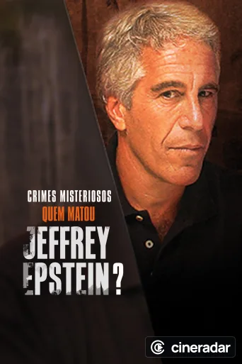 Der Fall Jeffrey Epstein