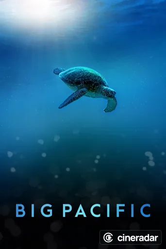 Big Pacific