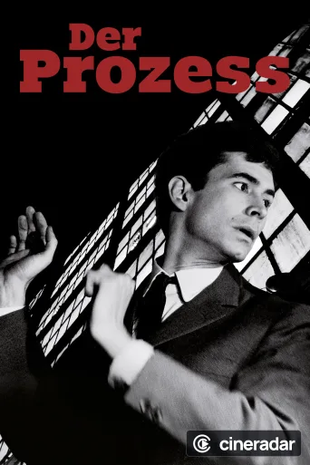 Il processo
