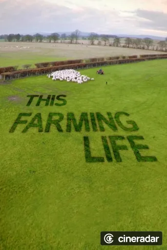 This Farming Life