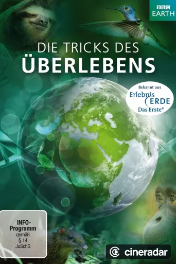 Die Tricks des Überlebens