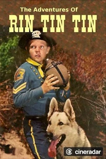 Rin Tin Tin
