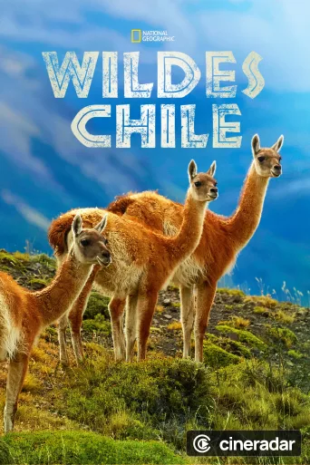 Wild Chile