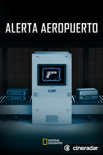 Airport Security