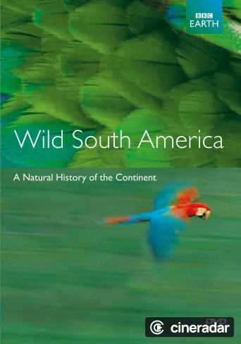 Andes to Amazon