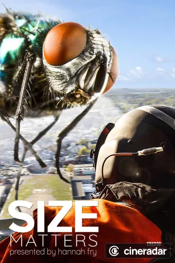 Size Matters