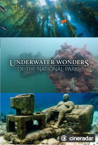 Underwater Wonders Of The National Parks