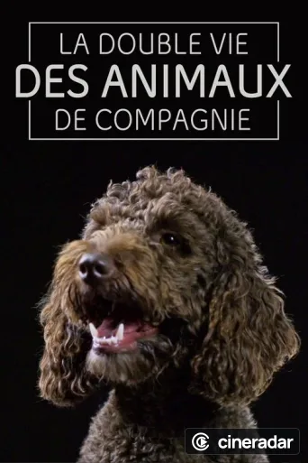 The Secret Life of Pets