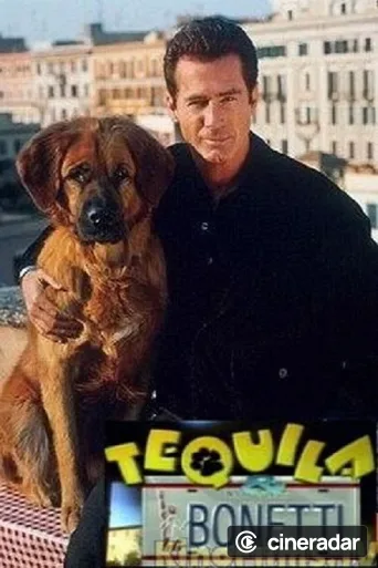 Les Nouvelles aventures de Tequila et Bonetti