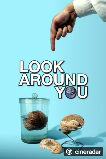 Look Around You