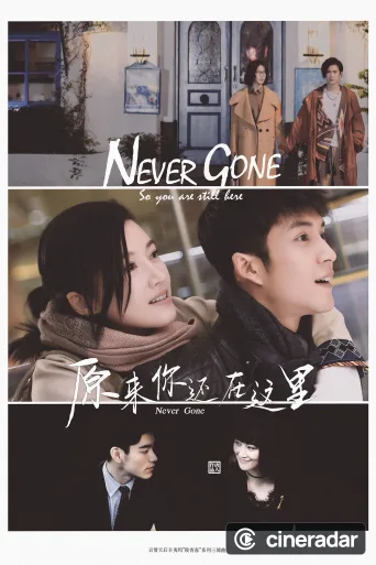 Never Gone