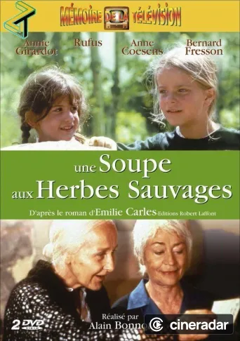 Une soupe aux herbes sauvages
