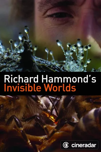 Richard Hammond's Invisible Worlds