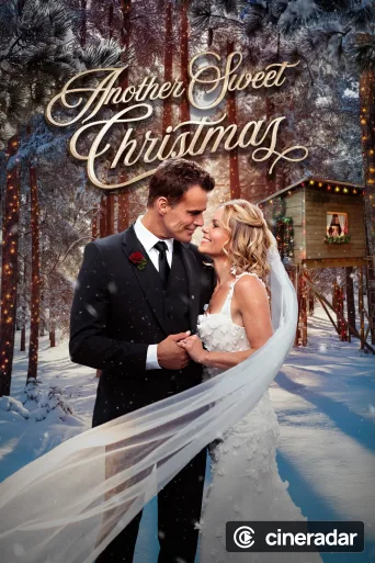 Another Sweet Christmas