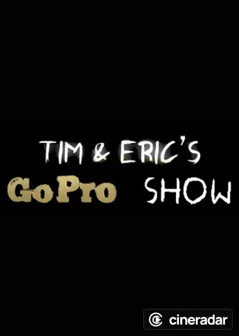 Tim and Eric's Go Pro Show