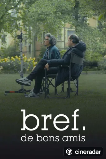 Bref. De bons amis